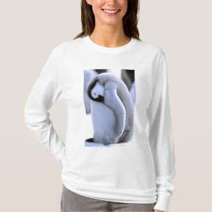 T-shirt Manchot Péninsule antarctique, mer de Weddell