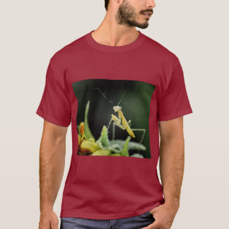T-Shirt - Mante religieuse vitrail