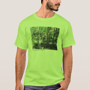 T-shirt Marais de Cypress sur la route express de trace de