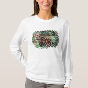 T-shirt Margay, Leopardus wiedi, Originaire du Mexique jus