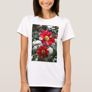 T-shirt marguerite rose chaud rouge / marguerites fleurs