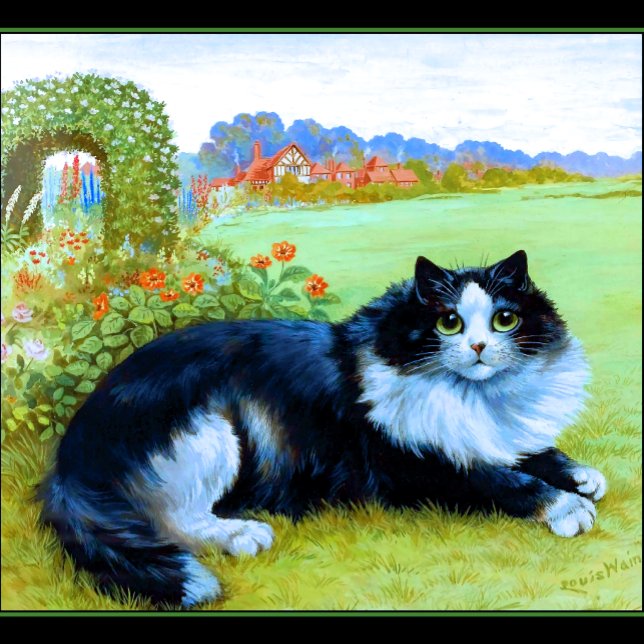 T-shirt Marin Comté Mont Tamalpais (Cat in the Garden)