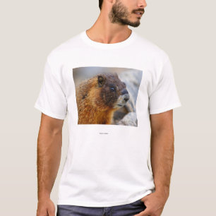 T-shirt Marmot