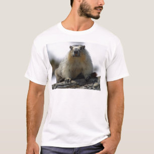 T-shirt Marmot gonflé par jaune
