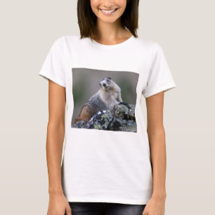T-shirt marmotte