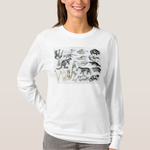 T-shirt Marsupialia, Monetremata, Edentata