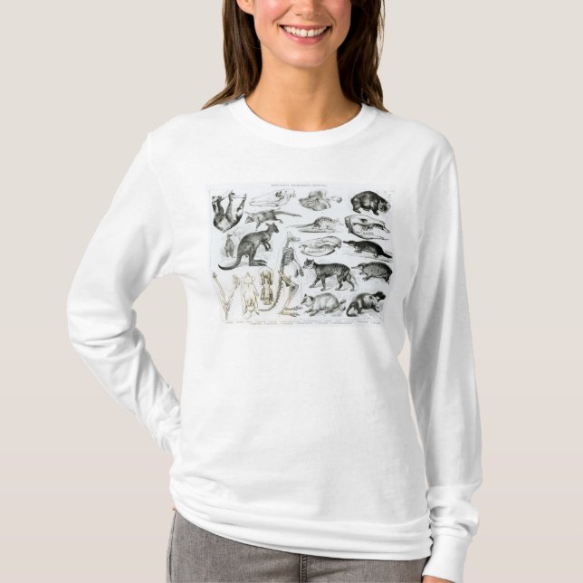 T-shirt Marsupialia, Monetremata, Edentata (Devant)
