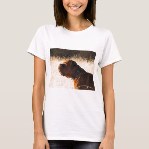 T-shirt Mastiff