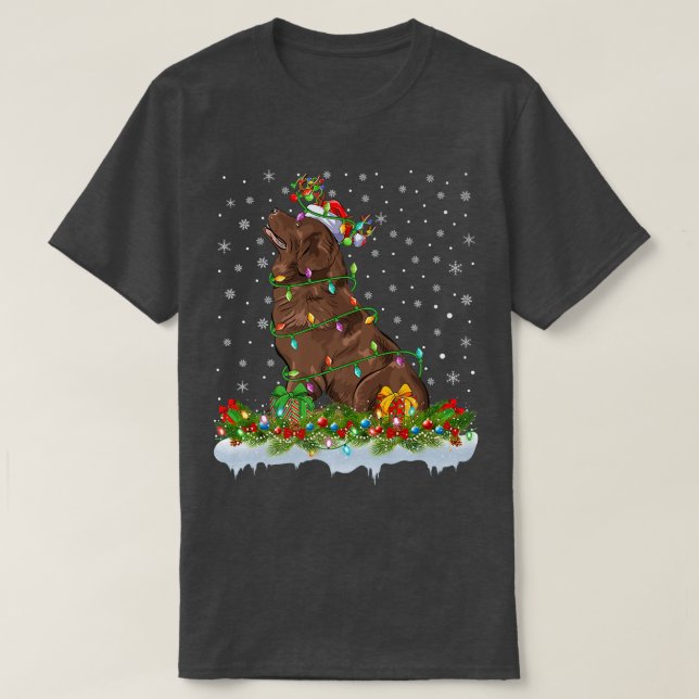 T-shirt Matching Xmas Lighting Santa Newfoundland Dog Chri (Design devant)