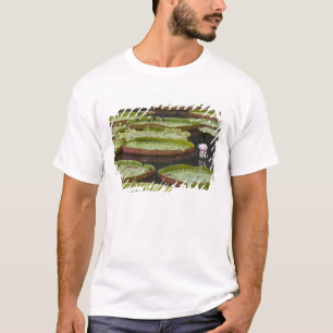 T-shirt Maurice, Pamplemousses, SSR Botanique