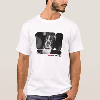 T-shirt MAUVAIS Boston Terrier