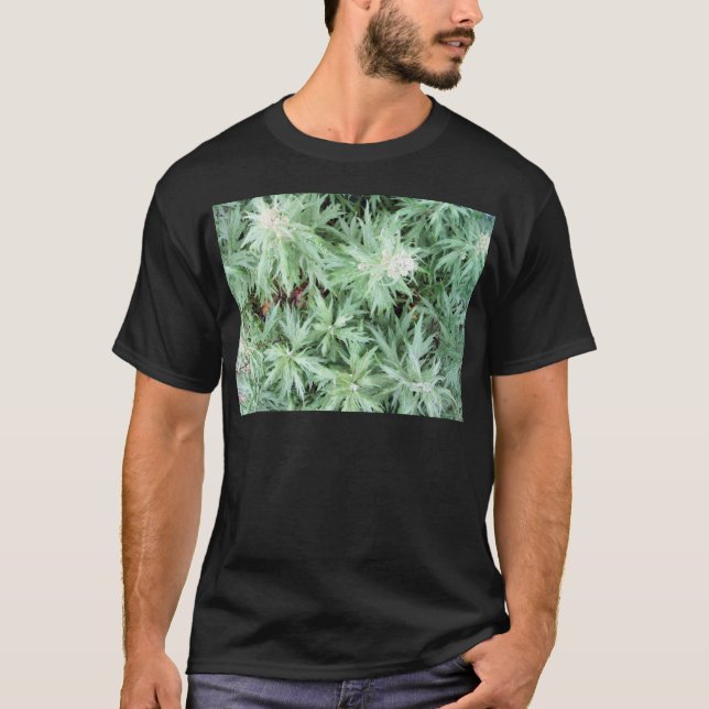 T-shirt mauvaise herbe de puanteur (Devant)