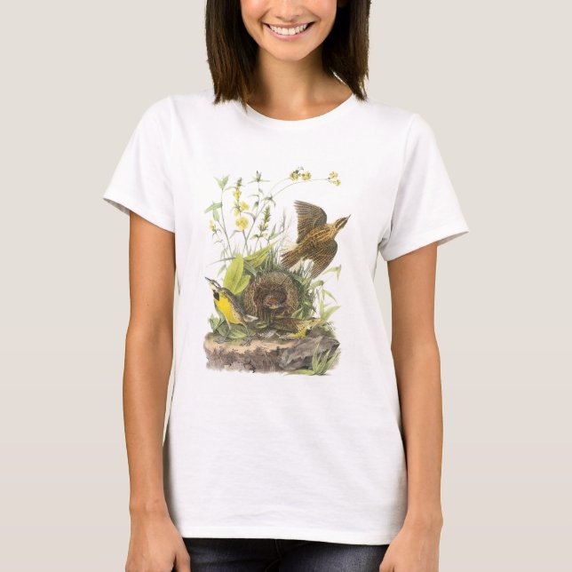 T-shirt Meadowlark oriental par Audubon (Devant)