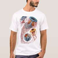 Méduses de Haeckel