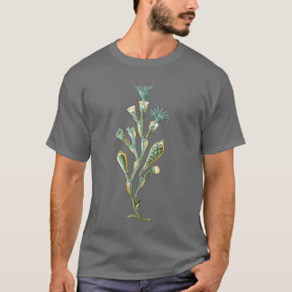 T-shirt Méduses - geniculata d'Obelia