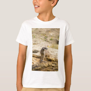 T-shirt Meerkat
