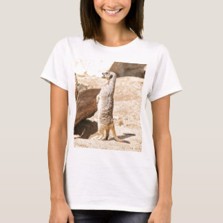 T-shirt Meerkat