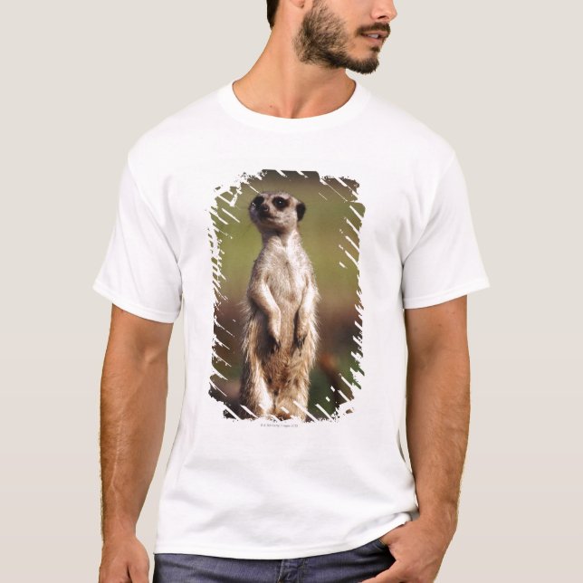 T-shirt meerkat mince-coupé la queue (Devant)