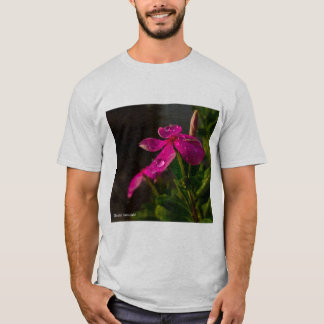 T-shirt meilleur