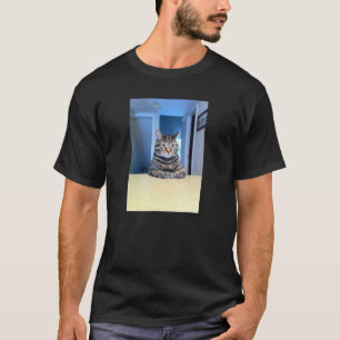 T-shirt Mème Chat Prendre Un Siège Mème