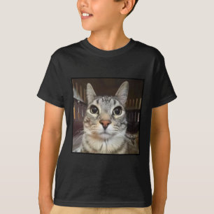 T-shirt Mème de chat à mât à mâcher