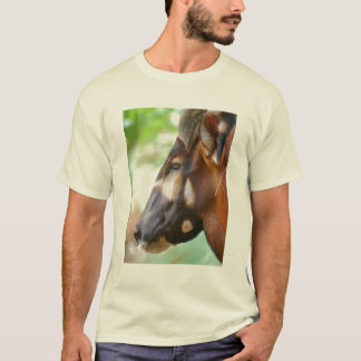 T-shirt MERLIN - antilope de bongo