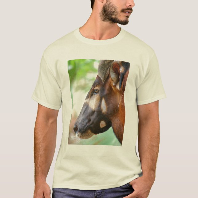 T-shirt MERLIN - antilope de bongo (Devant)