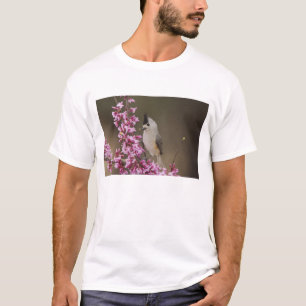 T-shirt Mésange à crête noire, Baeolophus