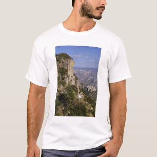 T-shirt Mexique, État de Chihuahua, Copper Canyon. CECI 2