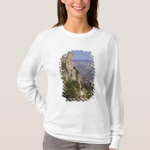 T-shirt Mexique, État de Chihuahua, Copper Canyon. CECI 2