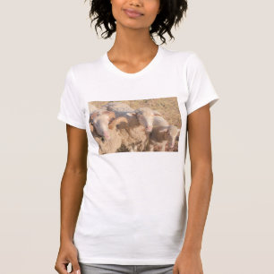 T-shirt Mignonne Merino Moutons Famille Animaux Agneau