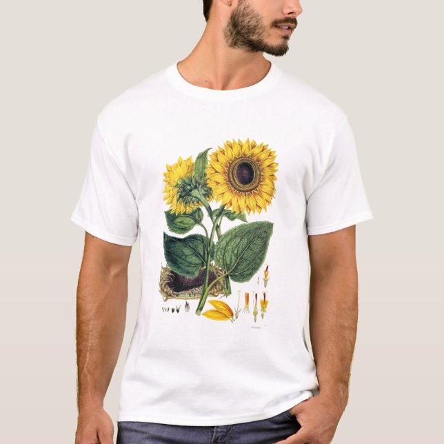 T-shirt Miller : Tournesol (Devant)
