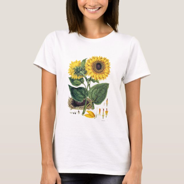 T-shirt Miller : Tournesol (Devant)