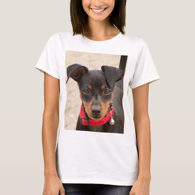T-shirt minuscule-pinscher-noir et rouille (Devant)