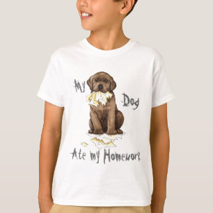 T-shirt Mon laboratoire de chocolat a mangé mes devoirs