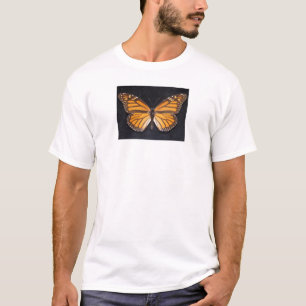 T-shirt monarque fille