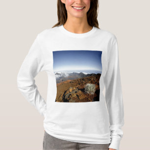 T-shirt Mot d'argent sur la rime du cratère de Haleakala 