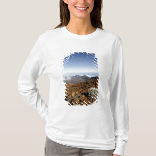 T-shirt Mot d'argent sur la rime du cratère de Haleakala 