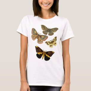 T-shirt Moth Plate 4