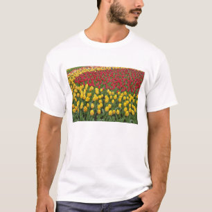 T-shirt Motif de jardin de tulipes, Jardins de Keukenhof,