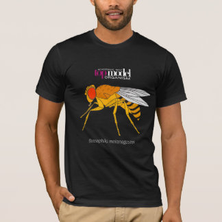 T-shirt mouche à fruits