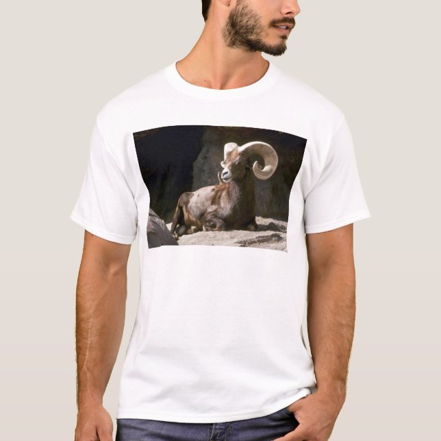 T-shirt Mouflons d'Amérique de désert (RAM adulte enfoncée (Devant)