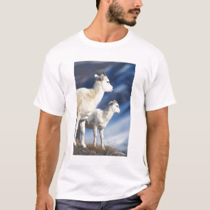 T-shirt mouflons, Ovis dalli, brebis et agneau