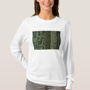 T-shirt Mt. Ashland, forêt nationale de Rogue River,
