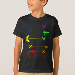 T-shirt multicolore, arc-en-ciel Chameleon