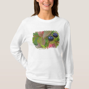 T-shirt Myrtille mûre dans le Flathead National