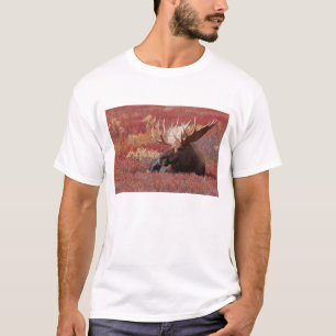 T-shirt N.A., États-Unis, Alaska, Denali National Park, Bu