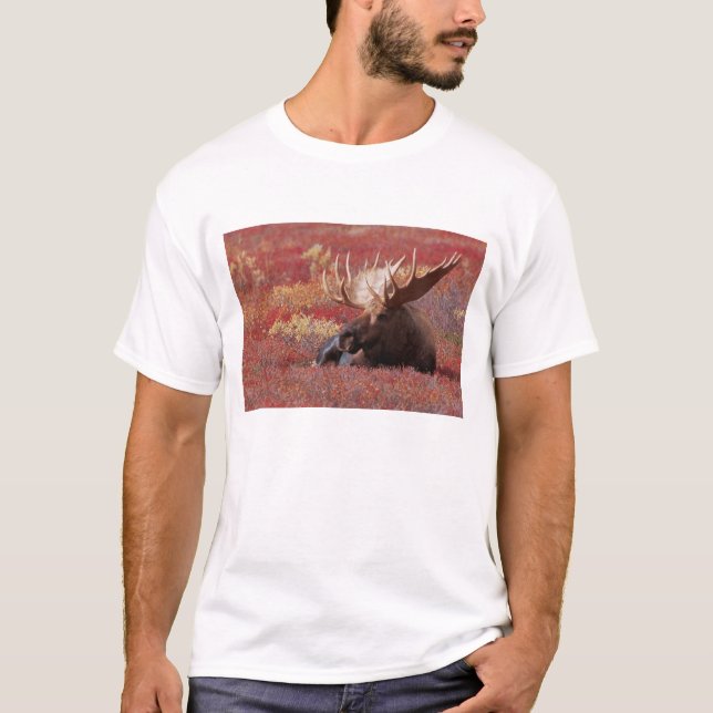 T-shirt N.A., États-Unis, Alaska, Denali National Park, Bu (Devant)
