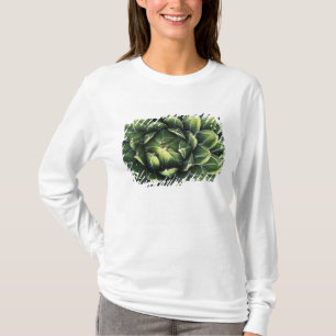 T-shirt N.A., États-Unis, Arizona, Tucson, désert de Sonor