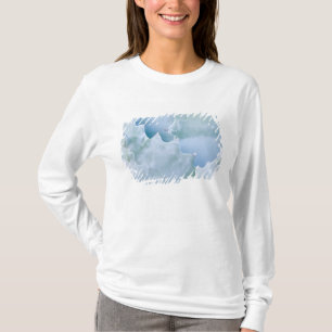 T-shirt N.A., États-Unis, Arizona, Tucson, Sonora Desert 